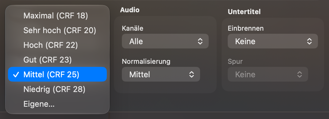 Das Menü „Qualität“ mit seinen Stufen von Maximal bis Niedrig und Eigene…