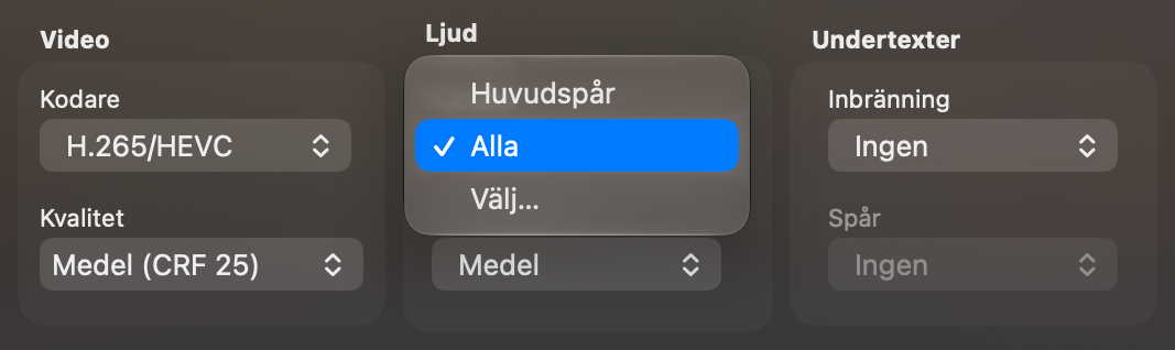 Avsnittet Ljud med menyn Kanaler öppen: Huvudspår, Alla, Välj…