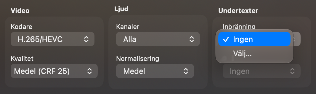 Avsnittet Undertexter med Inbränning satt till Välj… och en meny Spår